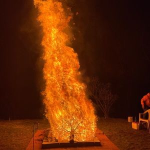 Meet your Posher, Leeann